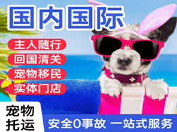 阿里昆莎机场空运国际宠物托运 【国